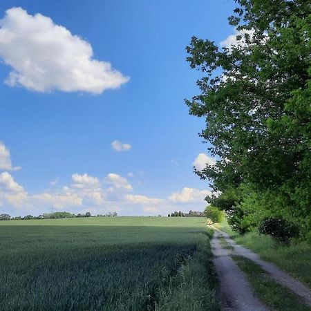 Steinhofel Vierseitenhof Hasenfelde - Ferienwohnung Feldblick מראה חיצוני תמונה