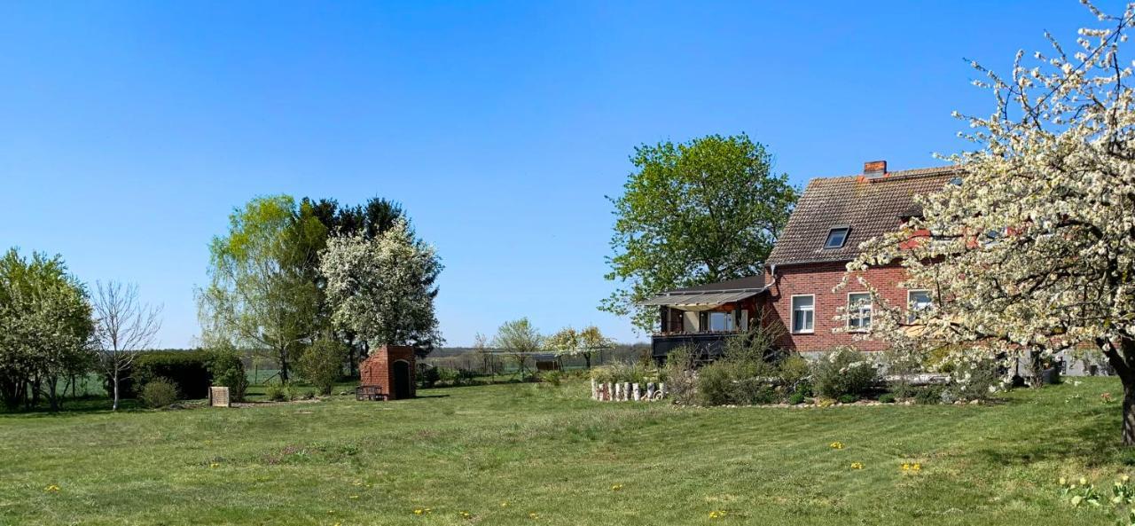 Steinhofel Vierseitenhof Hasenfelde - Ferienwohnung Feldblick מראה חיצוני תמונה