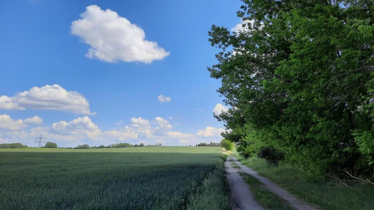 Steinhofel Vierseitenhof Hasenfelde - Ferienwohnung Feldblick מראה חיצוני תמונה